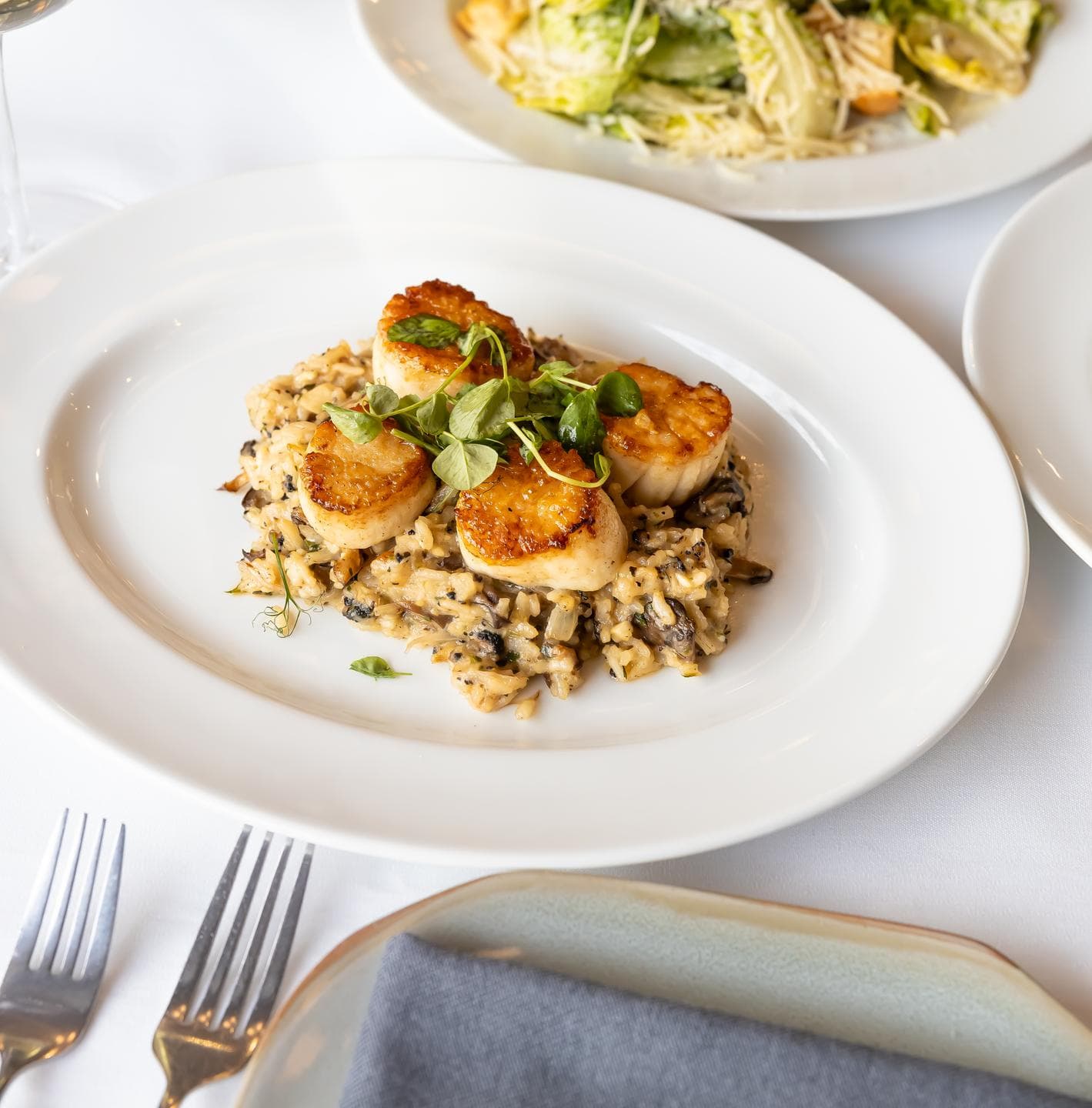 Seared scallops over mushroom risotto